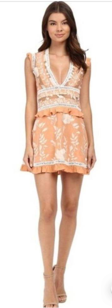 Mia Mini Dress Medium Lace Ruffles Embroidered Peach White
