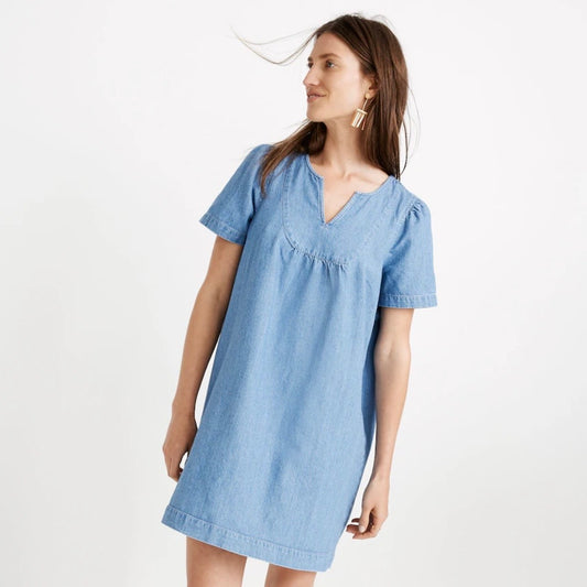 Denim Swing Dress in Newsome Wash Jean Blue